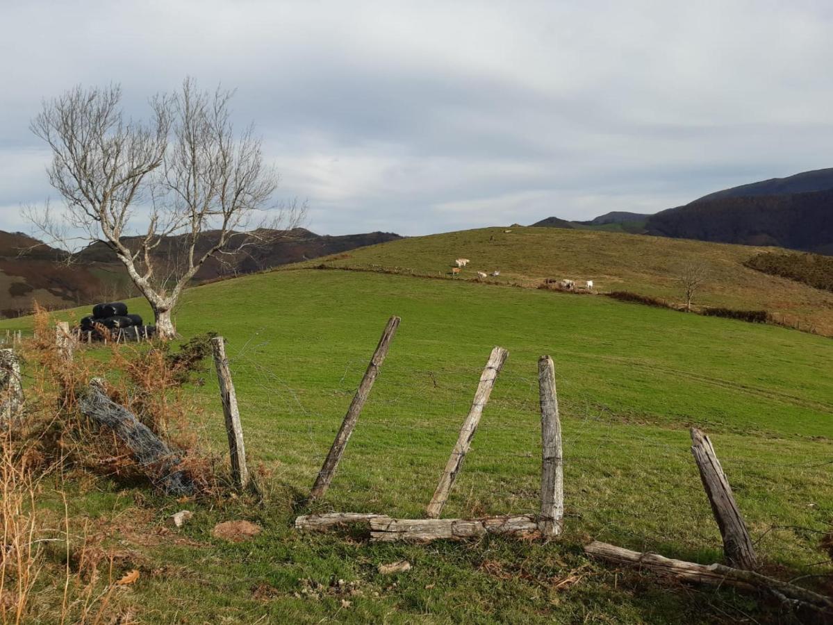 Apartamento Rural Elizondo Zewnętrze zdjęcie