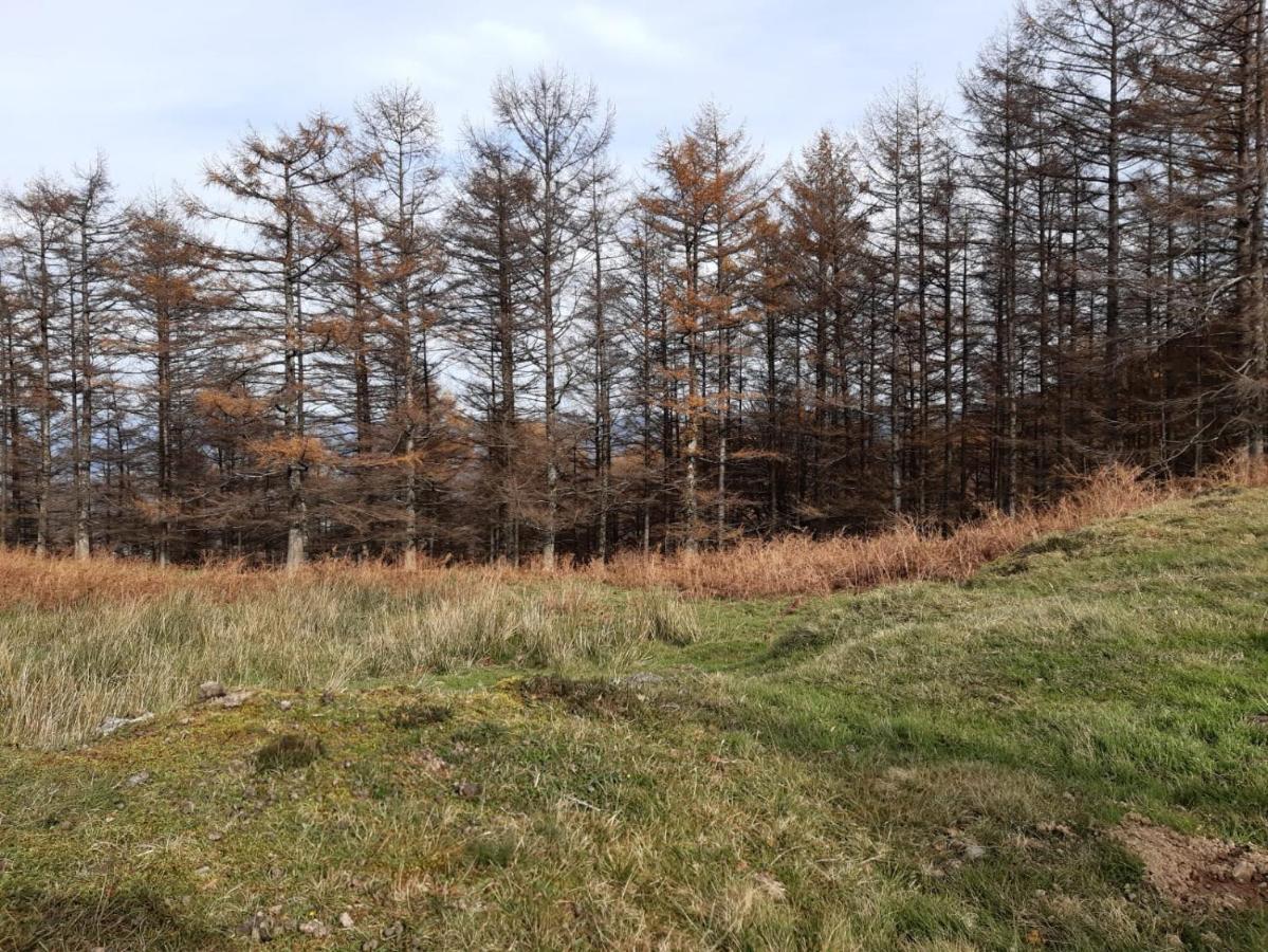 Apartamento Rural Elizondo Zewnętrze zdjęcie